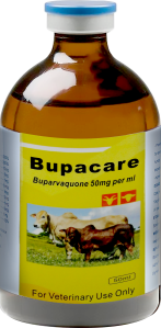BUPACARE