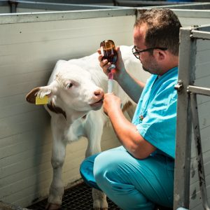 ANTIBIOTICS /ANTIPROTOZOAL