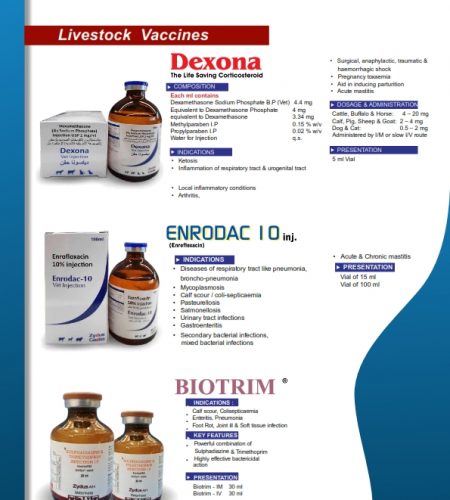 22.05.21 African Agrovet company profile A4 Print Ready (Editable) final_006