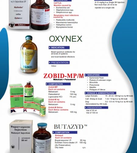 22.05.21 African Agrovet company profile A4 Print Ready (Editable) final_007